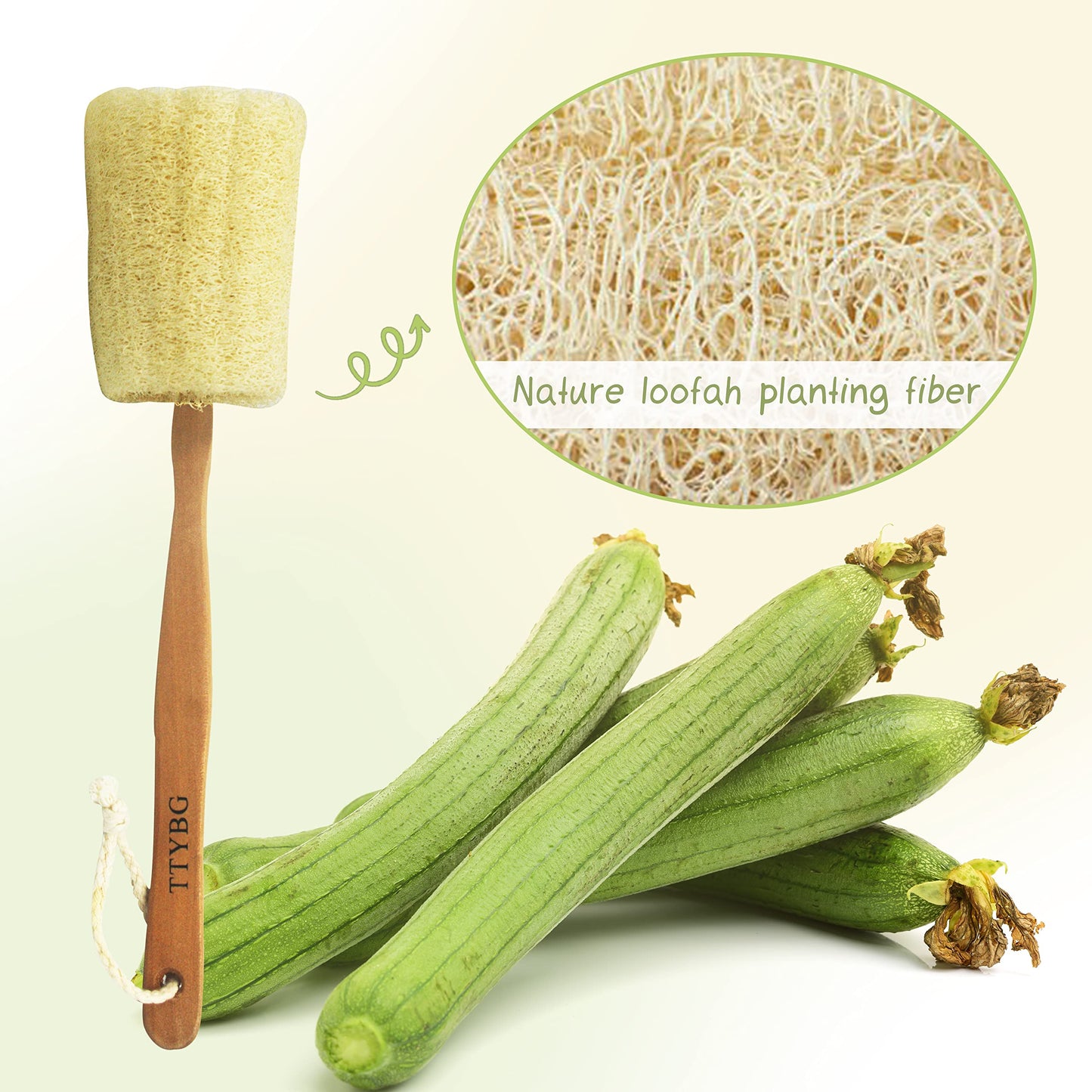 Natural Exfoliating Loofah Luffa Loofa Back Sponge Scrubber Brush with Long Wooden Handle Stick Holder Body Shower Bath Spa Pack of 2 Beauty & Personal Care TTYBG