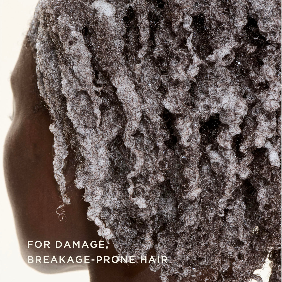 Carol's Daughter Goddess Strength Fortifying Shampoo For Wavy, Coily and Curly Hair, Sulfate Free Shampoo with Castor Oil for Weak Hair, 11 Fl Oz