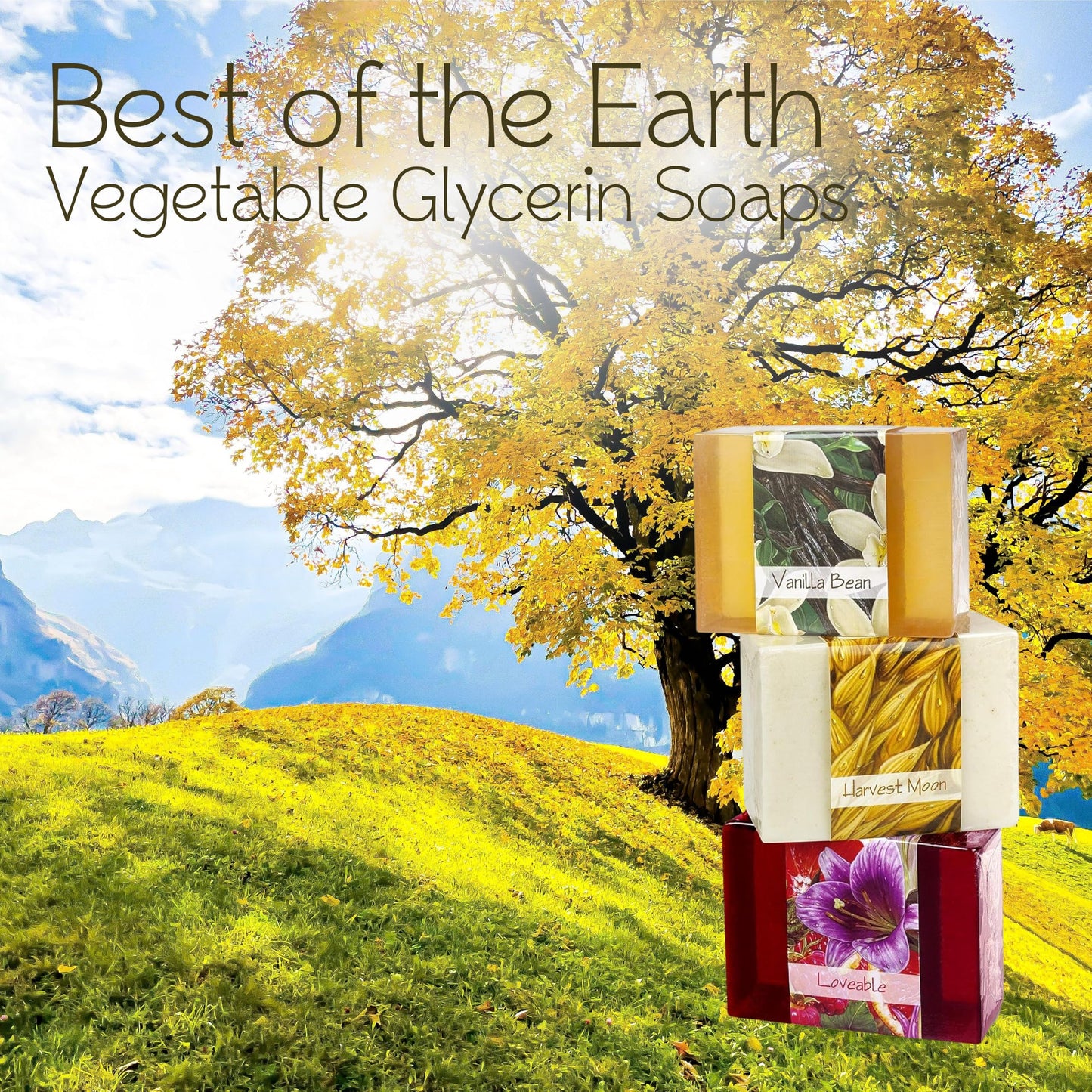 Nabila K Best of the Earth Glycerin Bar Soap Set of 3 | Vanilla Bean, Harvest Moon & Loveable | Natural, Vegan, Hypoallergenic | 100% Vegetable Beauty & Personal Care Nabila K