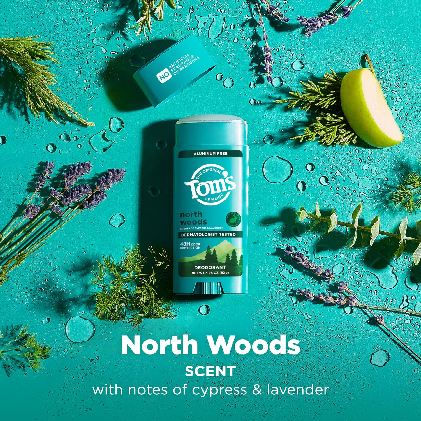 Tom’s of Maine North Woods Natural Deodorant for Men and Women, Aluminum Free, No Artificial Fragrances, Dyes, or Preservatives, Baking Soda Free Beauty and Personal Care Tom's of Maine