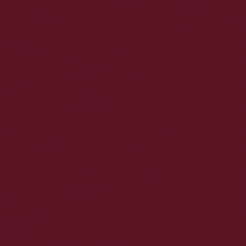 Sally Hansen Miracle Gel Salon Quality Nail Polish | Gel-Like Formula, Two-Step System, No UV Light Needed, Long Lasting | Opaque, Glossy | 489 Beauty & Personal Care Sally Hansen