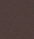 Masc-A-Gray / Hair Color Mascara / 102 Copper Chestnut Beauty & Personal Care Masc-A-Gray