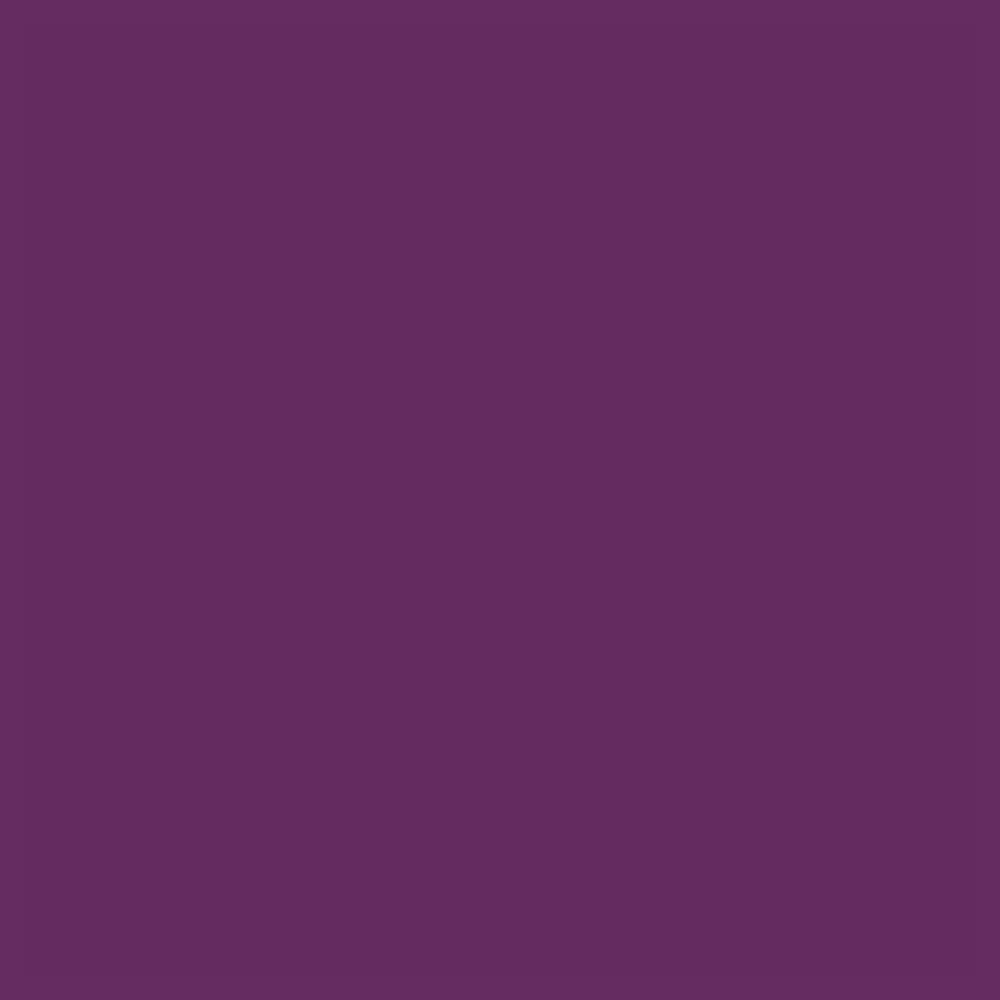 Sally Hansen Insta-Dri Nail Color - 443 Va Va Violet Nail Polish Women 0.31 oz Beauty & Personal Care Sally Hansen