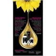 Garnier Olia Ammonia Free Hair Color [8.0] Medium Blonde 1 Each (Pack of 2) Beauty & Personal Care Garnier