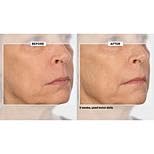 Signature Club A 5 Essentials Creme for Face and Eyes with Plant Stem Cell Complex Beauty & Personal Care Signature Club A