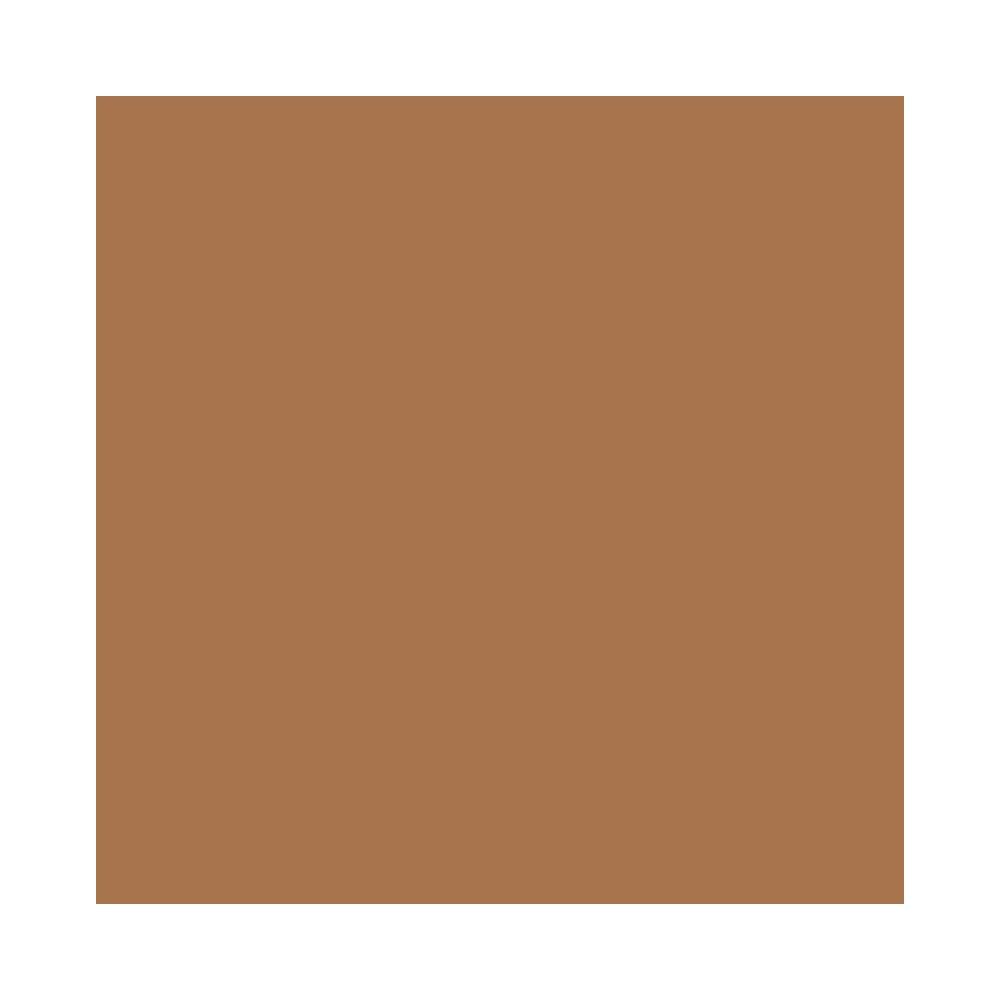 MAC Studio Radiance Serum-Powered Foundation, NC60, 1 Ounce Beauty & Personal Care MAC