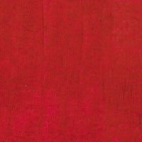 NICKA K LIPSTICK WITH VITAMIN E RUBY RED #100 Beauty & Personal Care NICKA K NEW YORK