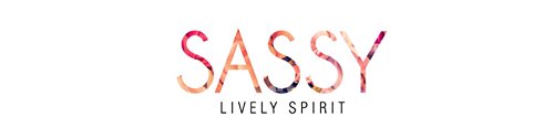 ZURY SIS SASSY LIVELY SPIRIT RAZOR CHIC WIG SASSY RC-H BONI (SOM 30/33)