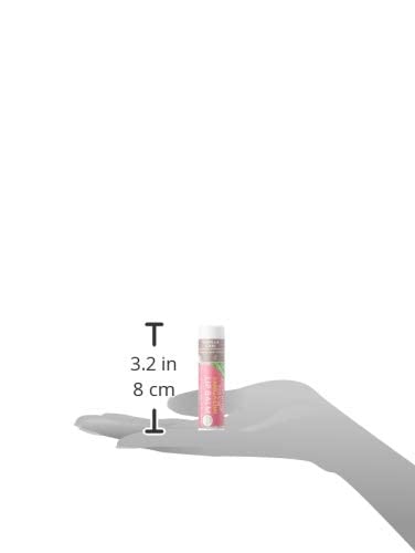 SOOTHING TOUCH LIP BALM, VEGAN, VANILLA CHAI, 0.25 OZ Beauty and Personal Care Soothing Touch