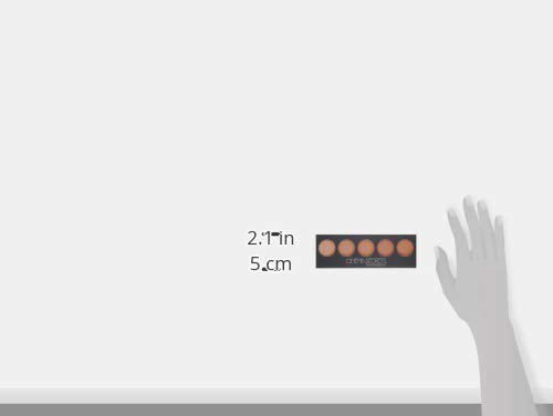 Cinema Secrets Ultimate Foundation 5-in1 Palette - Light-Med Pink-Beige Undertones, 500A series, Buildable Coverage, Long-Wear Matte Finish Beauty & Personal Care CINEMA SECRETS