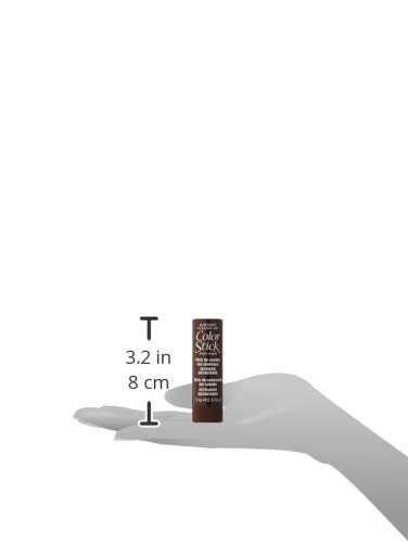 Daggett and Ramsdell Color Stick Instant Hair Color Touch Up - Jet Black Beauty & Personal Care Daggett & Ramsdell
