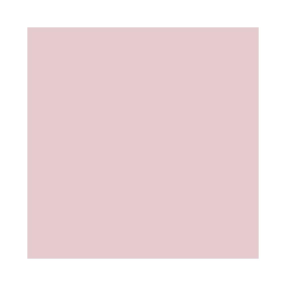 Mac Paint Pot - Princess Cut -5g/0.17oz By Mac Beauty & Personal Care MAC