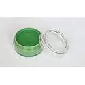 Common body painting Fengda light green 10 g Beauty & Personal Care Airbrush Fengda