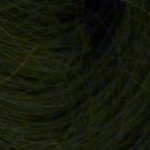 My Secret Hair Enhancer Spray, Black 5 oz (142 g) Beauty & Personal Care My Secret Hair Enhancer