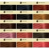 Bigen Semi Permanent Hair Color #Db2 Darkest Brown, 3 oz (Pack of 7) Beauty & Personal Care Bigen
