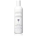 Carina Organics Lavender Shampoo & Body Wash Beauty & Personal Care Carina Organics