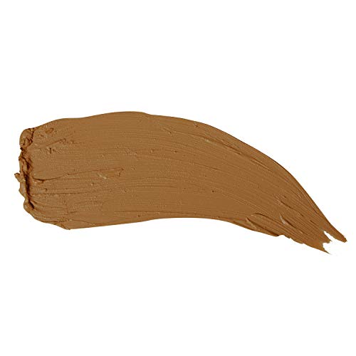 PÜR MINERALS 4-in-1 Foundation Stick in Golden Dark Beauty & Personal Care PÜR MINERALS