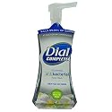 Dial Ddi Antibacterial Foaming Hand Wash White Tea(Pack of 8) Beauty & Personal Care Dial