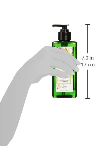 Via Mercato Liquid Soap, Shea Butter Enriched (12 oz), No. 8 - Clove, Vanilla Flower & Orange Beauty & Personal Care Via Mercato