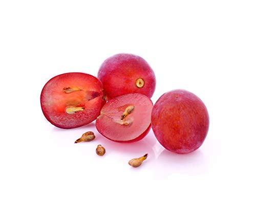 US Organic Grape Seed Oil, USDA Certified Organic, 100% Pure & Natural, Cold Pressed Virgin, Unrefined, in Amber Glass Bottle Beauty & Personal Care US Organic