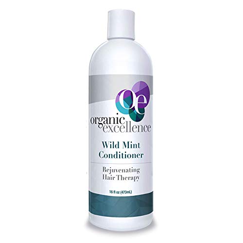 Organic Excellence Wild Mint Conditioner, 16 Fluid Ounce Beauty & Personal Care Organic Excellence