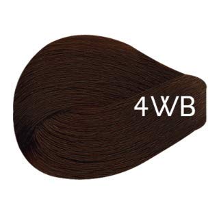Vivitone Permanent Cream Color (4WB Warm Brown) 3oz. - 100% Grey Coverage, Long Lasting Shine, Made in Italy. Beauty & Personal Care Vivitone