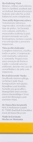 Dr. Hauschka Revitalizing Mask, 1.0 Fluid Ounce Beauty & Personal Care Dr. Hauschka