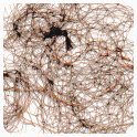 Jac-O-Net Mirage Ultra-Invisible Hair Net, Light,2 Net Per Pack [Pack of 12]