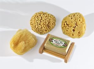 Natural Sea Sponge Sampler By SEASATIONALS™ (3"-4" Craft Sized Sponges) Beauty and Personal Care SEASATIONALS