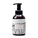 Michel Design Works Foaming Hand Soap 16.9oz, Sea Salt & Sand Scent and Design, Shea Butter and Aloe Vera Blend, Beautiful Container with Pump Beauty & Personal Care Michel Design Works
