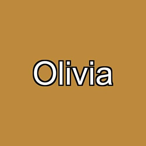 Graftobian F/X Aire Airbrush Makeup (Olivia) Beauty & Personal Care Graftobian