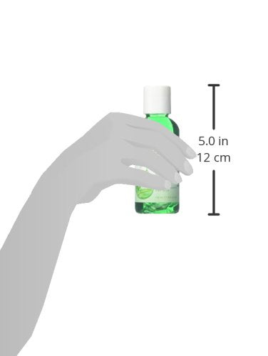 SATIN SMOOTH Cool Aloe Vera Skin Soother, 4.0 Ounce, 4 Fl Ounce Beauty & Personal Care SATIN SMOOTH