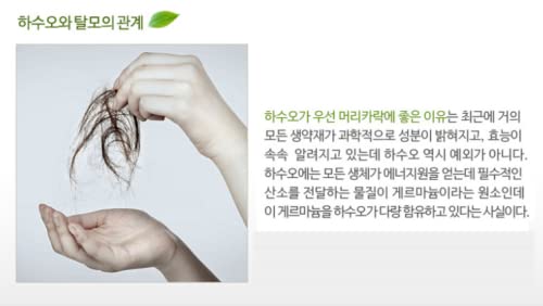 HASUO Herbal Essential Shampoo