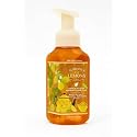 Bath and Body Works Sunshine & Lemons Gentle & Clean Foaming Hand Soap 8.75 fl oz, Yuzu, Grapefruit & Sun Rays Beauty & Personal Care Bath & Body Works