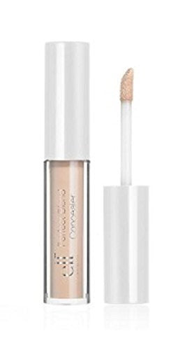 e.l.f. Perfect Blend Concealer, Ivory, 0.07 Fluid Ounce Beauty & Personal Care e.l.f.
