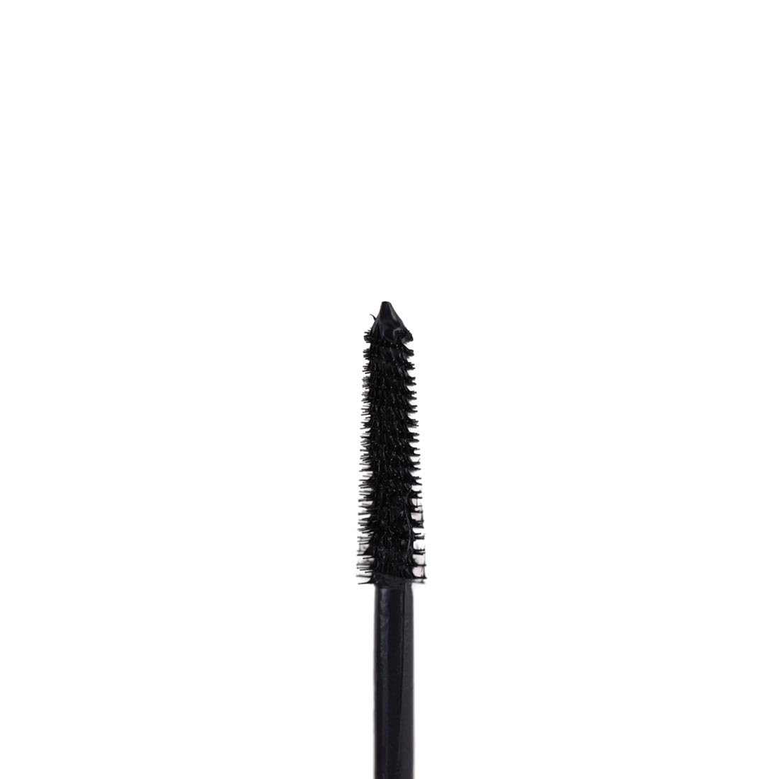Palladio Maxxxlash Lengthening Mascara, Brown Beauty & Personal Care Palladio
