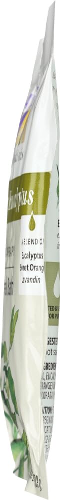 Eucalyptus Harvest Mineral Bath Salts 2.5 Ounces (Pack of 24)24 Beauty and Personal Care Aura Cacia
