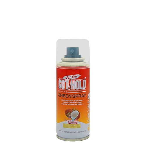 ALL DAY GOT HOLD Hair Styling Sheen Spray 2.7 fl.oz/80ml Beauty & Personal Care ALL DAY GOT HOLD