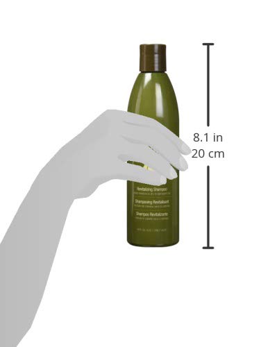 Hair Chemist Macadamia Oil Revitalizing Shampoo 10 ounce Beauty & Personal Care Hair Chemist