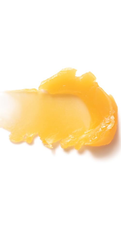Dr. Hauschka Lip Care Stick, 0.17 Oz Beauty & Personal Care Dr. Hauschka