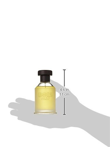 Bois 1920 Vetiver Ambrato Eau De Toilette Spray 100ml/3.4oz Beauty & Personal Care Bois 1920
