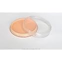 Common body painting Fengda flesh color 30 g Beauty & Personal Care Airbrush Fengda