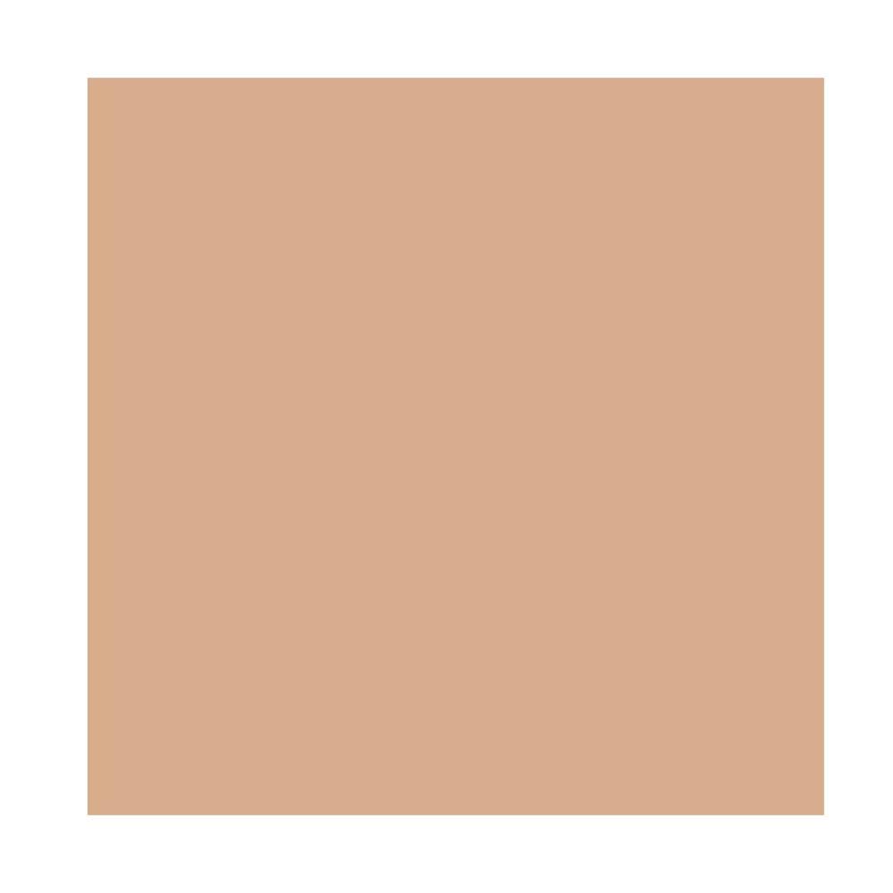 MAC Studio Radiance Serum-Powered Foundation, N12, 1 Ounce Beauty & Personal Care MAC