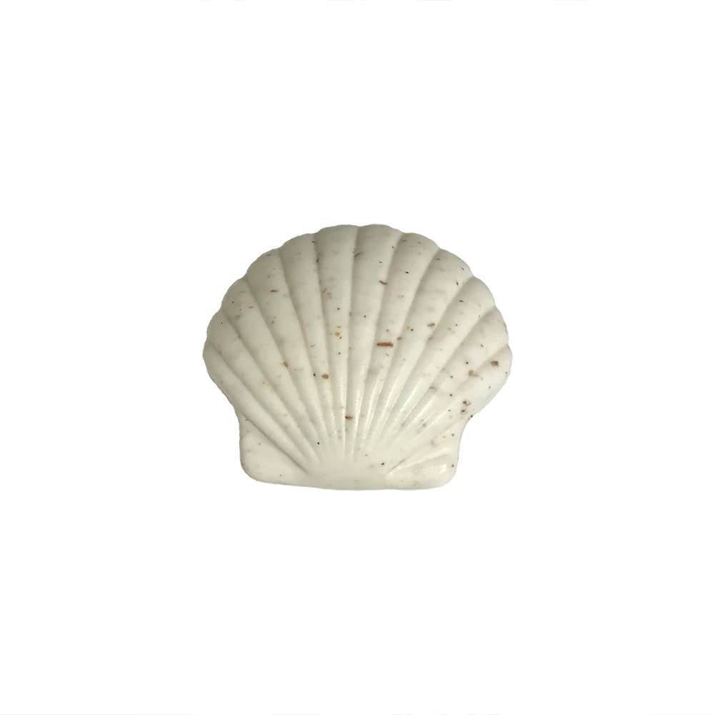 Greenwich Bay - 4.3 oz. Seashell Scented Shea Butter Soap - Island Blossom Beauty & Personal Care Greenwich Bay