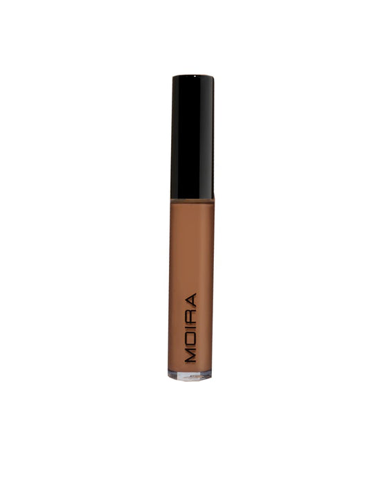 Lavish Creamy Concealer (850, Chocolate Mousse)