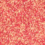 LA Splash Glitter Splash Body/Face Glitter Beauty & Personal Care SPLASH