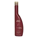 Back To Basics Vanilla Plum Unisex Conditioner, 11 Ounce Beauty & Personal Care Back to Basics