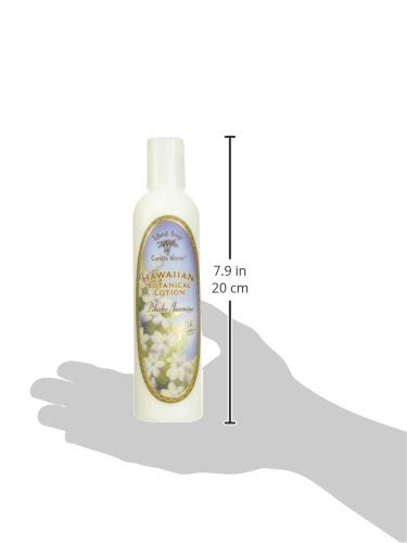 Island Soap & Candle Works Coconut Body Lotion – Hydrating Hawaiian Skincare, Paraben-Free Moisturizer for Men & Women, 8.5 fl oz Beauty & Personal Care Island Soap & Candle Works