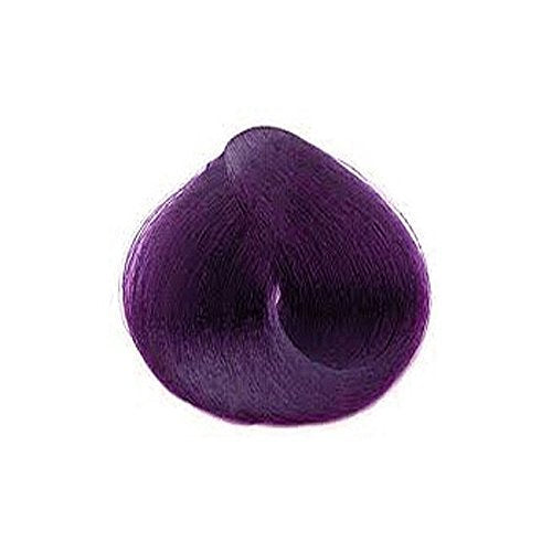 La Riche Directions Semi-Permanent Hair Colour 88ml x 2 tubs Violet by La Riche Beauty & Personal Care La Riche