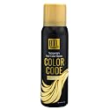 BTL Professional BTL Color Code Temporary Hair Color Spray-On! Vibrant & Easy to Wash | Fast Drying (3oz/80g) (Blonde, 3oz/80g) Beauty & Personal Care BTL Professional